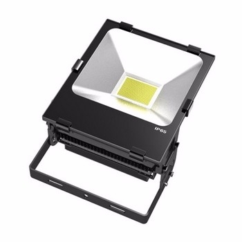 LED Flood Light